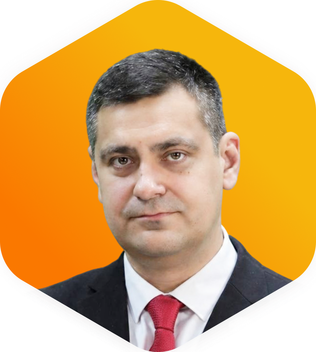 Деменева Анна Анатольевна | Эксперт СОТ 2022